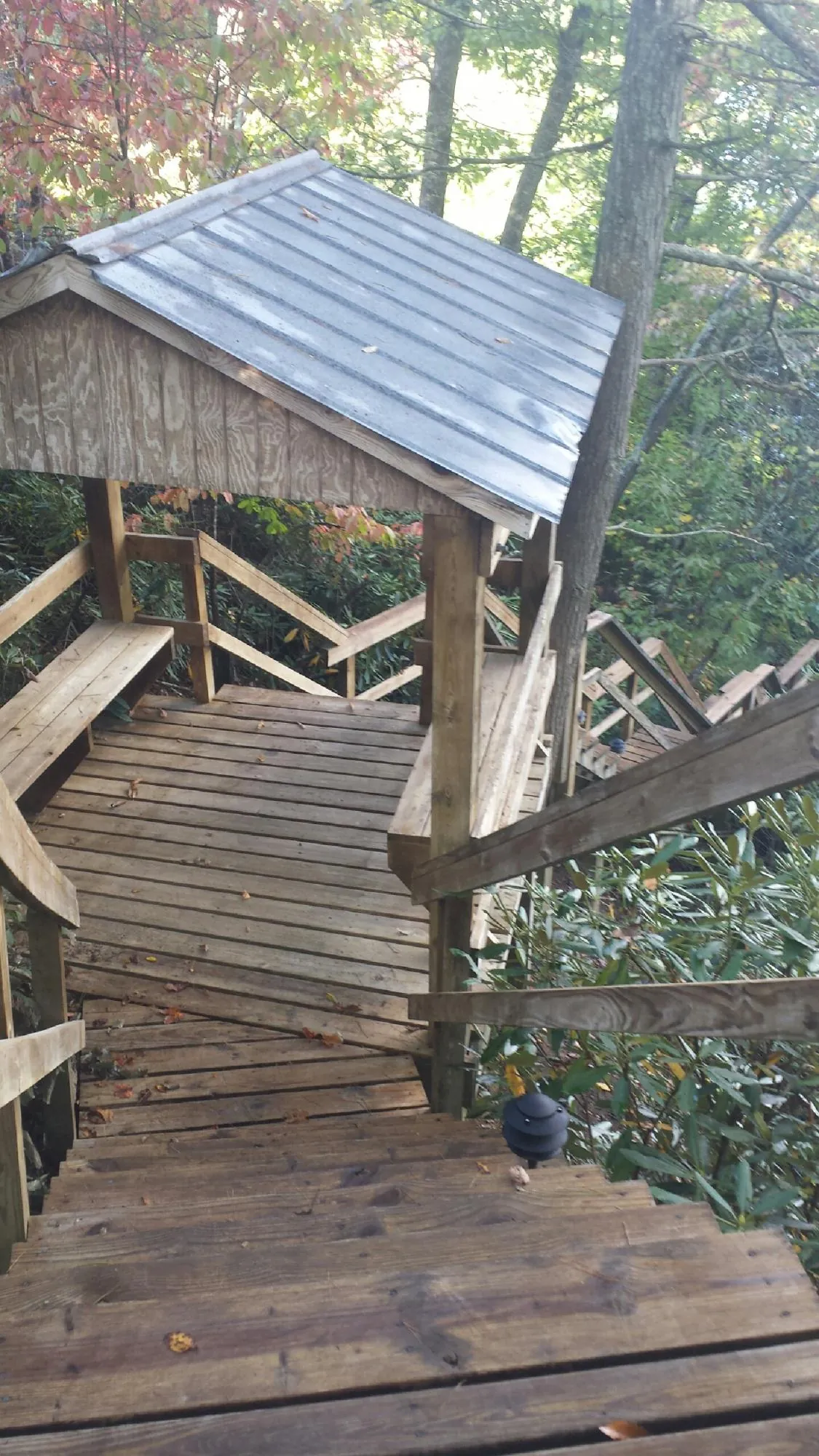 Metal roofed shelter over wooden steps on a wooded walkway — Skylight Repair & Installation work by our crew in Golden Valley